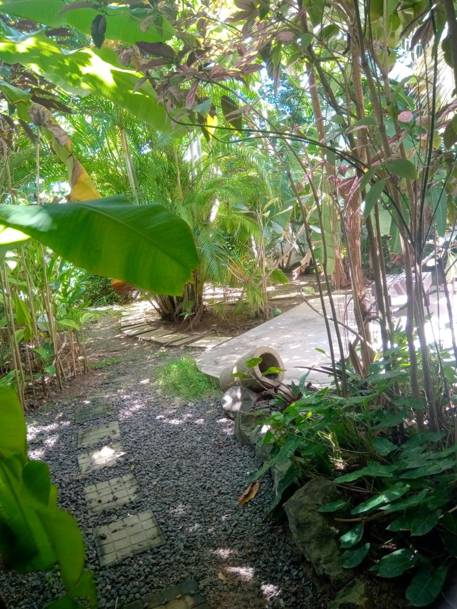 Turtle Eco Beach Матара Экстерьер фото